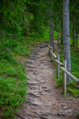 Nature Trail with wooden railings - Sietiniezis rock, Vaidava, Latvia