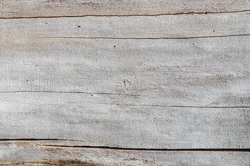 Grey wood texture. Close up, macro. Tree texture, background