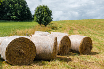 Bele słomy © Marcin