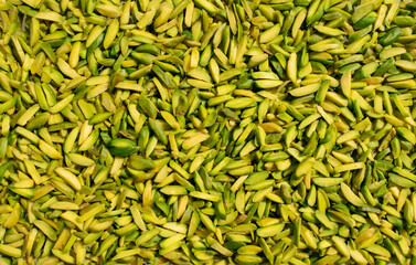 Background made of pistachios nuts. Healthy snack and food. Top view. Nuts. Pista sticks backdrop