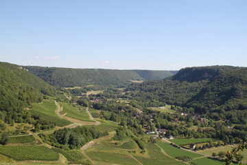 Obraz premium Vineyards panoramic view landscape hill