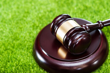 Wooden judge's hammer with metal ring and soundboard, on artificial turf, top view, green grass,...
