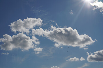 Blue sky with clouds and sunbeams. Birds are flying