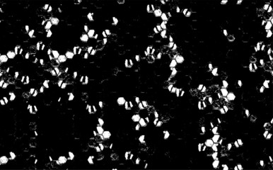 Rough black and white texture vector. Distressed overlay texture. Grunge background. Abstract textured effect. Vector Illustration. Black isolated on white background. EPS10