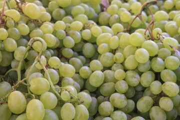  green grapes