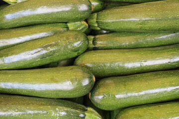 cucumber 