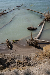 Lake Erosion, Trees fallen in Lake, Climate change, extreme weather, lake mudslide