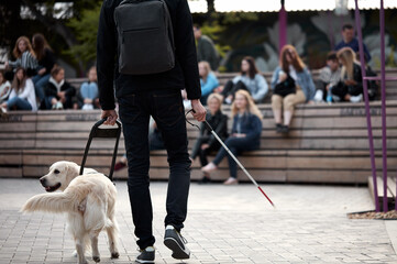 careful guide dog helping blind man in city, disabled guy has best friend gold retriever who help...