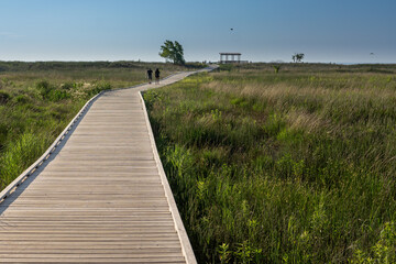 Fototapeta premium Mentor headlands beach trail, Beach trail, nature, wooden trail, mentor, headlands