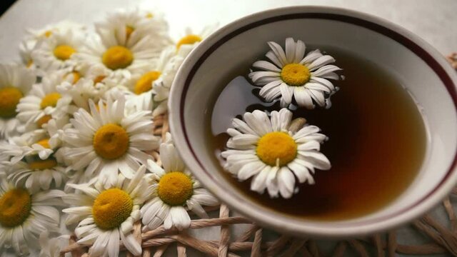 Concept on the topic of a healthy drink made from summer herbs and flowers. Close-up cup with chamomile tea, in which a female hand puts a fresh flower, next to the table summer flowers. Pharmacy coll