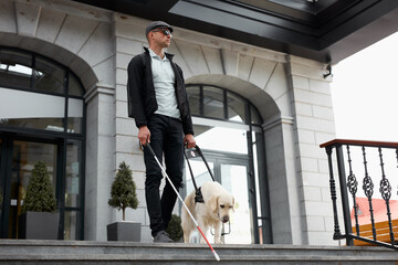 the concept of the young blind invalid and the dog guide, little golden retriever help man to cross...