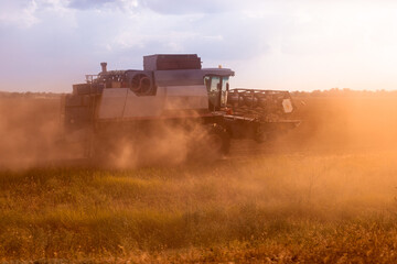 Naklejka premium combines on the field harvest wheat, agriculture, Russian fields