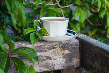 White porcelain tea cup on the wooden balcony with green wild grapes background. Warm healthy herbal drink. Natural beverages wallpaper. Hot brewed tea on fresh air. Cozy home weekend breakfast.