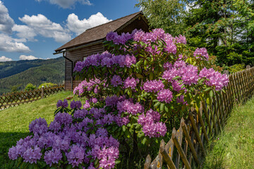Brandlucke Bauernhofer