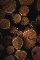 stack of logs