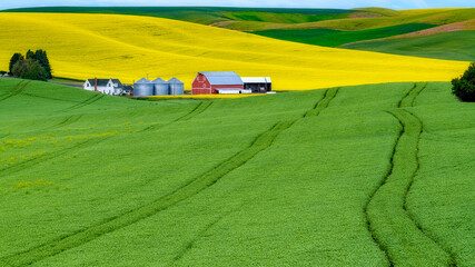 Red barn on a farm with deep green and bright yellow fields