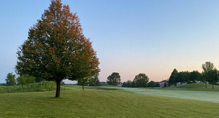 Fototapeta na wymiar signs of autumn on golf course orange leaves