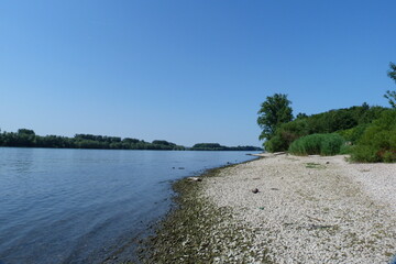 Rhein und Rheinpromenade bei Eltville am Rhein