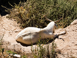 Obraz premium Bocairent is a municipality in the comarca of Vall d'Albaida in the Valencian Community, Spain.