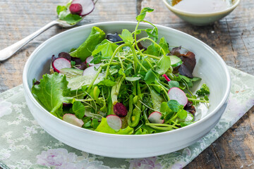 Green leaf salad