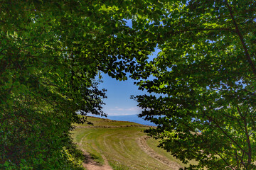 Obraz premium Graz Wanderung Orthacker