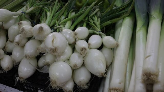 Closeup of pile of fresh green onion on showcase of greengrocery