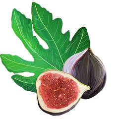 Fig cartoon elements set. the whole exotic fruit, fig leaf, cut figs on white background. Purple, red, green colors.