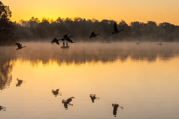 Fishing at Shawnee Mission Park