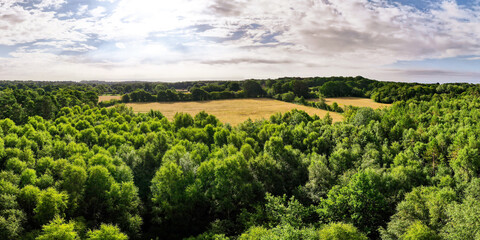 Fototapeta na wymiar landscape with vineyard