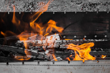 Red flames. Cook over an open fire. Burning logs. Bonfire flame. Barbecue fire. The heat of the fire. Dancing flame.