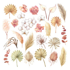 Set of boho flowers and leaves on a white background. © IrinaLitvinova