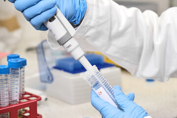 Close up woman hand in a rubber blue gloves collect a sample from falcone test tube using automatic...