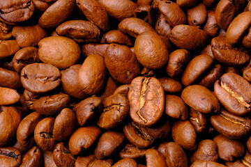 coffee beans macro