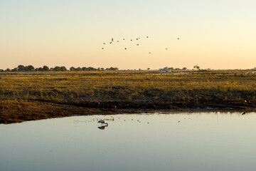 Obraz na płótnie Canvas Chobe National Park, Botswana