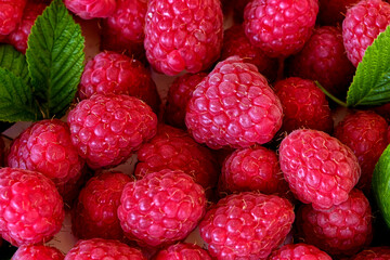 red raspberry macro