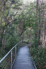 Obraz premium wooden bridge in the forest