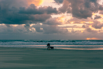 Fototapeta premium sunset at the beach