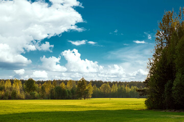 Beautiful summer landscape green field forest and blue sky.