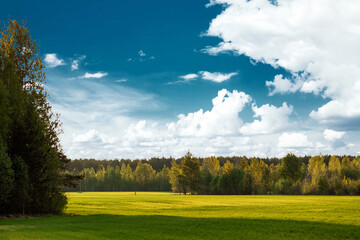 Beautiful summer landscape green field forest and blue sky.