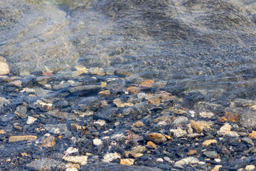 seabed with a large pebble, with blurry background, used as a background or texture, soft focus
