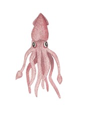 Octopus illustration - 365915072