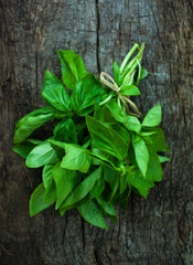 fresh green basil on wooden background