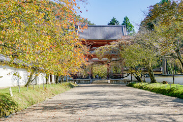 京都　醍醐寺