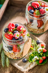 Muesli with yogurt and berries in summer garden