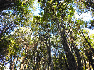 Wonderful Lago Puelo, Province of Chubut. Argentina