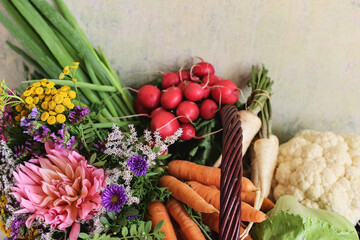 Farm still life composition. Harvest, gardening concept. Fresh organic assorted vegetables and autumn garden flowers in handmade wicker basket. Healthy food, eating scene. Grunge wall background.
