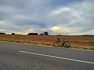 Fototapeta na wymiar bicycle on empty road in dry fields. traveling alone.