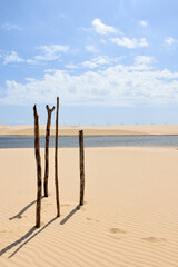 Some wooden sticks stuck in the sand in front of a lagoon, in Lençóis Maranhenses, Brazil.