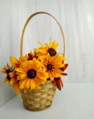 wicker basket with flowers of golden bicolor rudbeckia on a light wood background. Selective focus