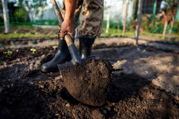Gardener digging in the garden. Soil preparing for planting in spring. Gardening.